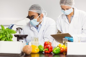 Food scientists at work in the lab