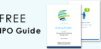 Free IPO Guide