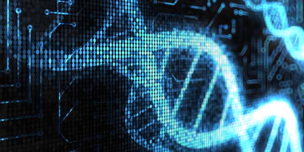 Digital DNA rendering