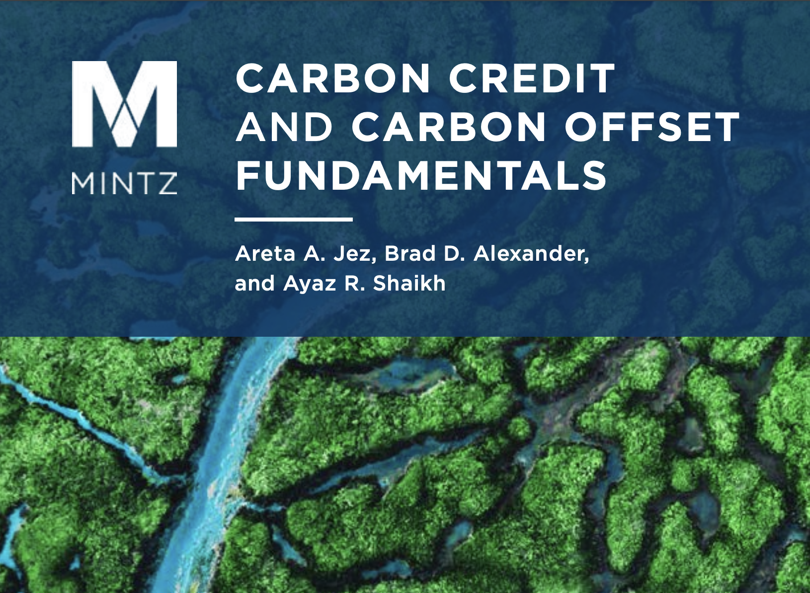 Carbon Credit and Carbon Offset Fundamentals White Paper Cover