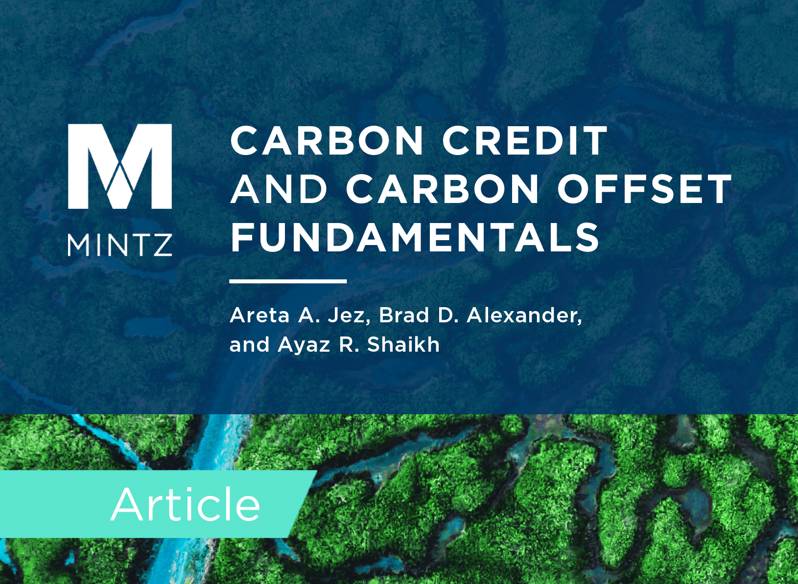Carbon Credit and Carbon Offset Fundamentals White Paper Cover