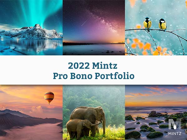 2022 Mintz Pro Bono Portfolio