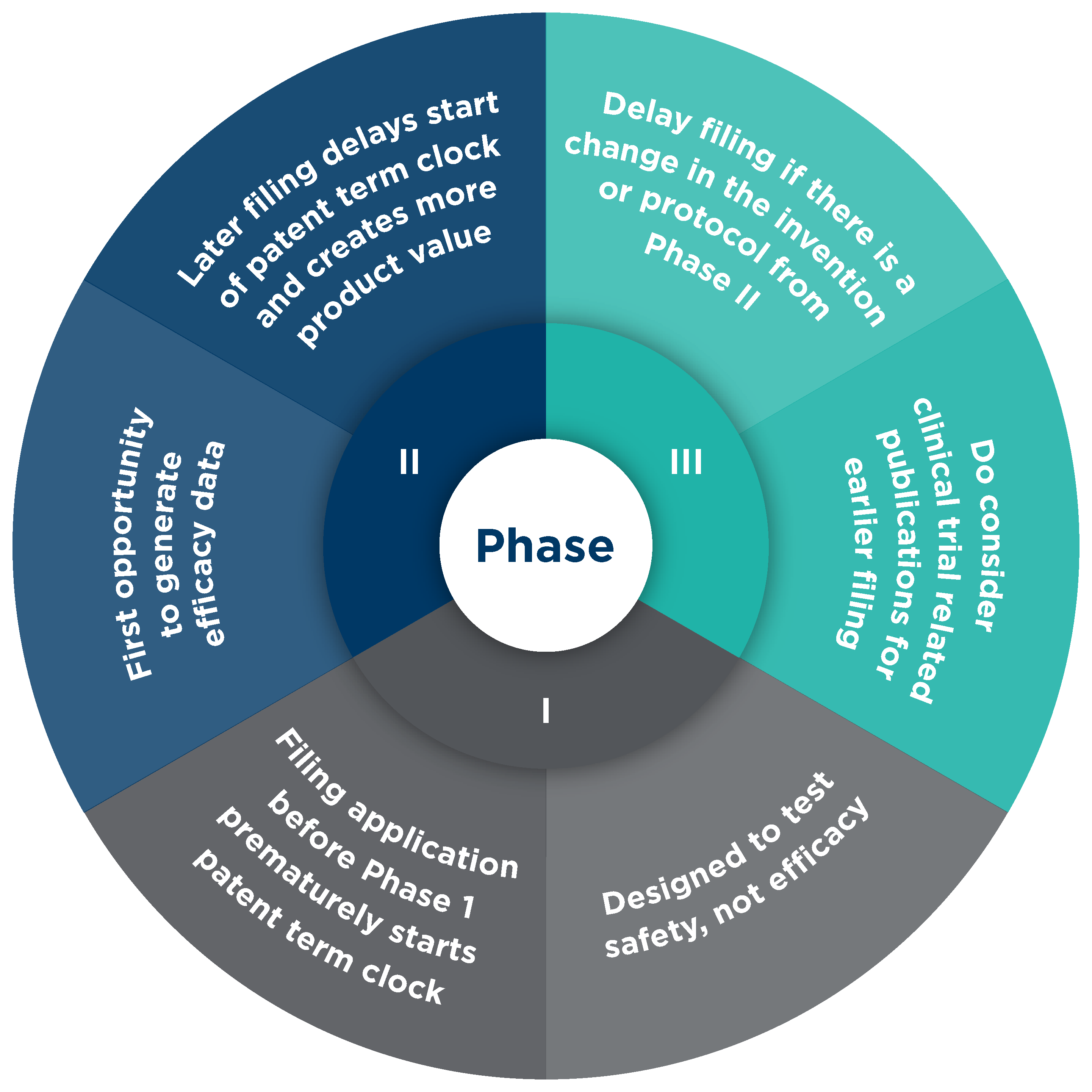 Circular diagram describing the three phases of patent process