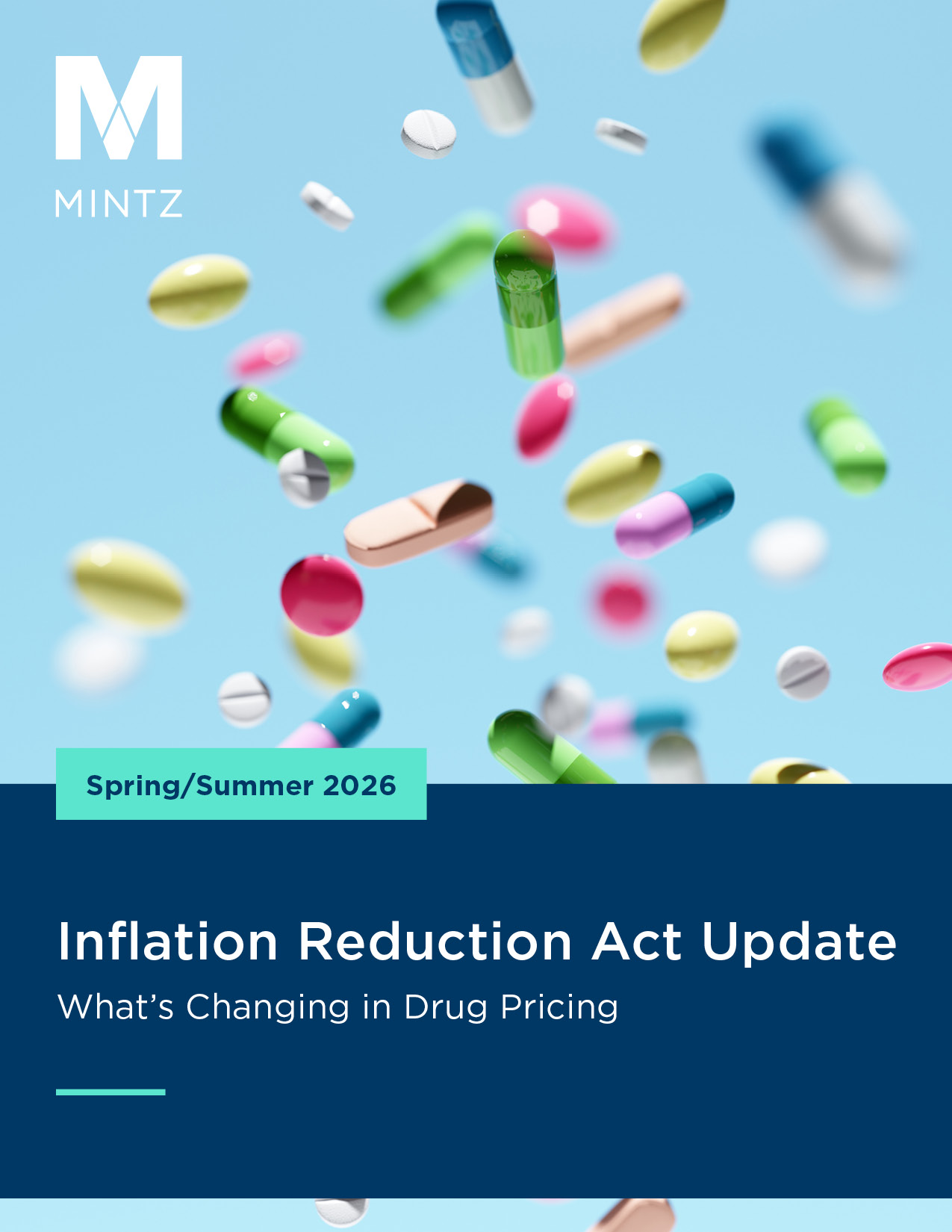 mintz ira update 07-2024