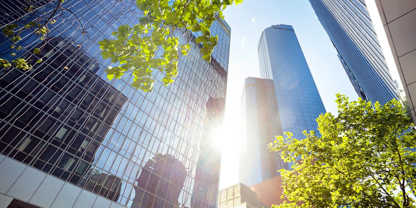 Environmental Enforcement Defense Attorneys Mintz