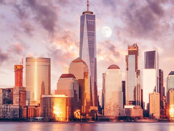 Public-Private Partnerships at the World Trade Center