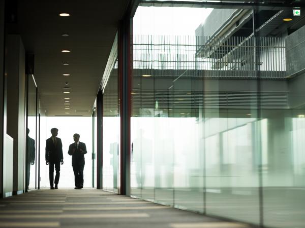 Practice Intro Securities Litigation Mintz