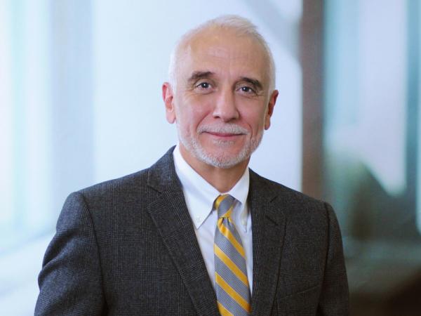 Professional Cropped Campillo Ralph Mintz