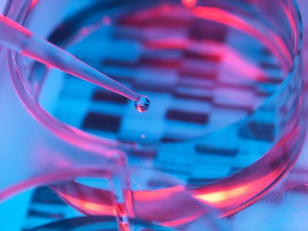 Defending a Lab in a DOJ FCA Investigation