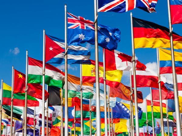 Multinational Industry Leader Manages Product Liability Risks