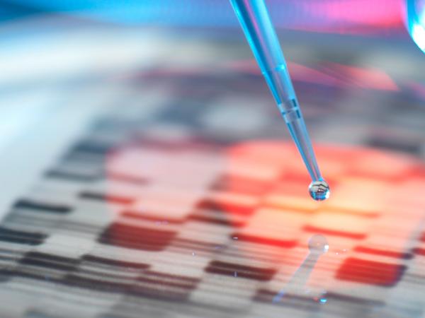 Taking Patent Over the Finish Line – 13 Years Later