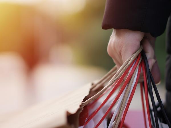 Mintz Wins Terminating Sanctions in Employment Case