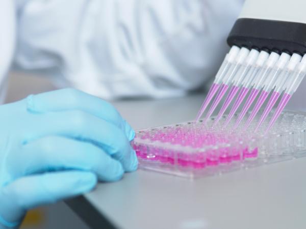ImmunoGen Secures $200M Partial Sale of Royalty Interest in Kadcyla with “Cap and Tail”