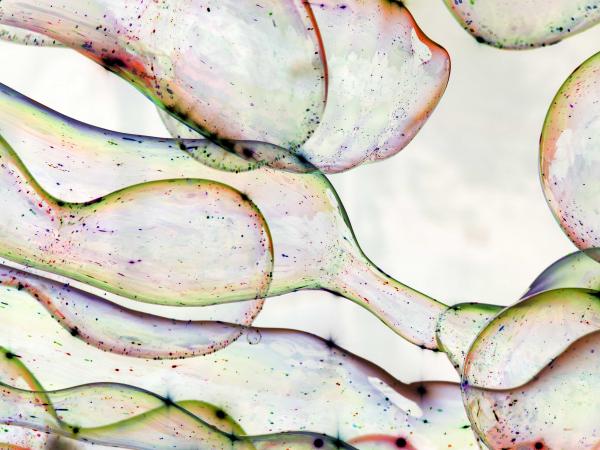 BAND TOGETHER: Corporate &amp; Cultural Convergence in Life Sciences M&amp;A