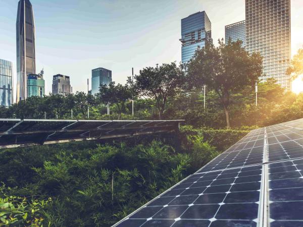 ACCELERATING TO 80: Driving the Northeast’s Deep Decarbonization Targets