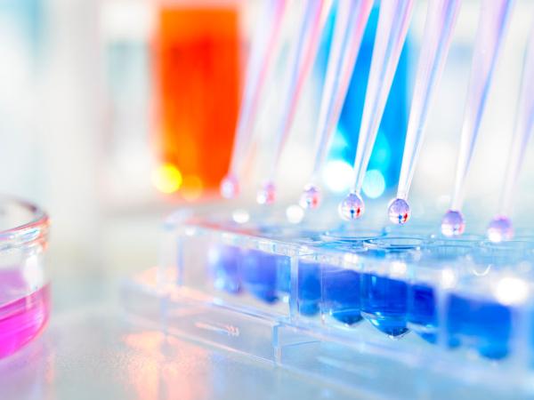 Mintz Achieves Full First Circuit Victory on Behalf of Keryx Biopharmaceuticals