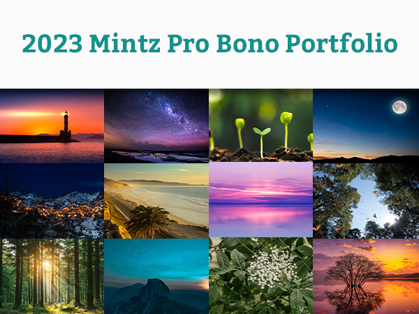 2023 Mintz Pro Bono Portfolio