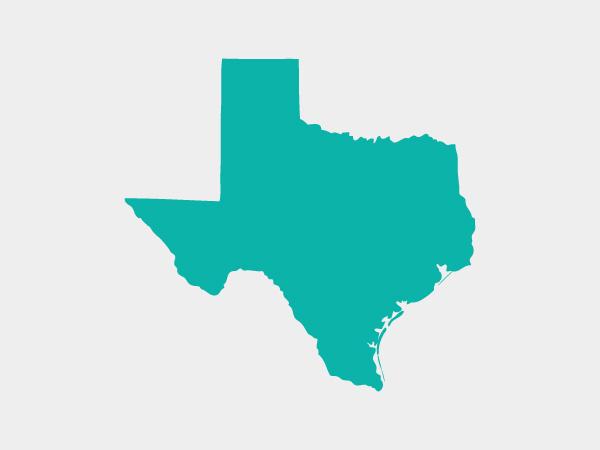 U.S. State Texas