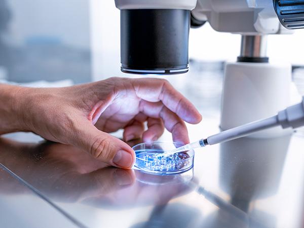 Mintz Represents Granata Bio Corporation in Series A+ Funding Round