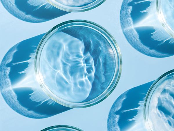 Mintz Advises the Placement Agents in Spruce Biosciences, Inc.’s $50 Million Private Placement