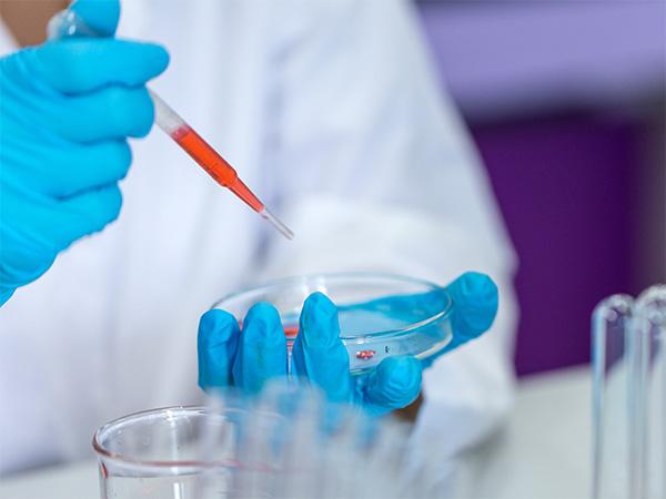 Mintz Advises on Cogent Biosciences Inc.’s Concurrent Public Offerings of $345 Million of Common Stock and $230 Million in Aggregate Principal Amount of 1.625% Convertible Senior Notes Due 2031