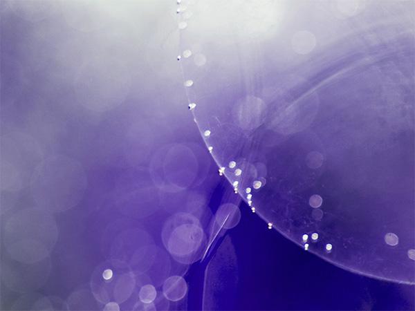 Mintz Advises on Protara Therapeutics' $75 Million Public Offering