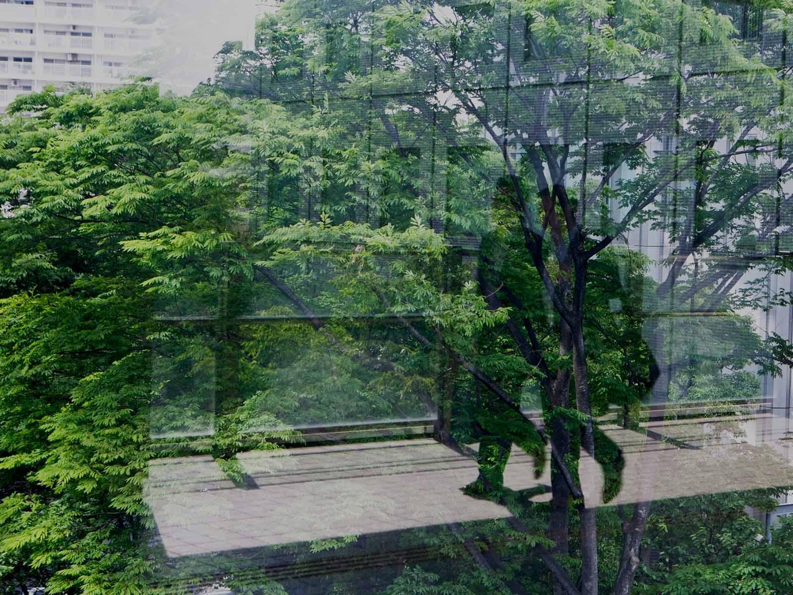 Two business people walk through a glass hallway surrounded by trees
