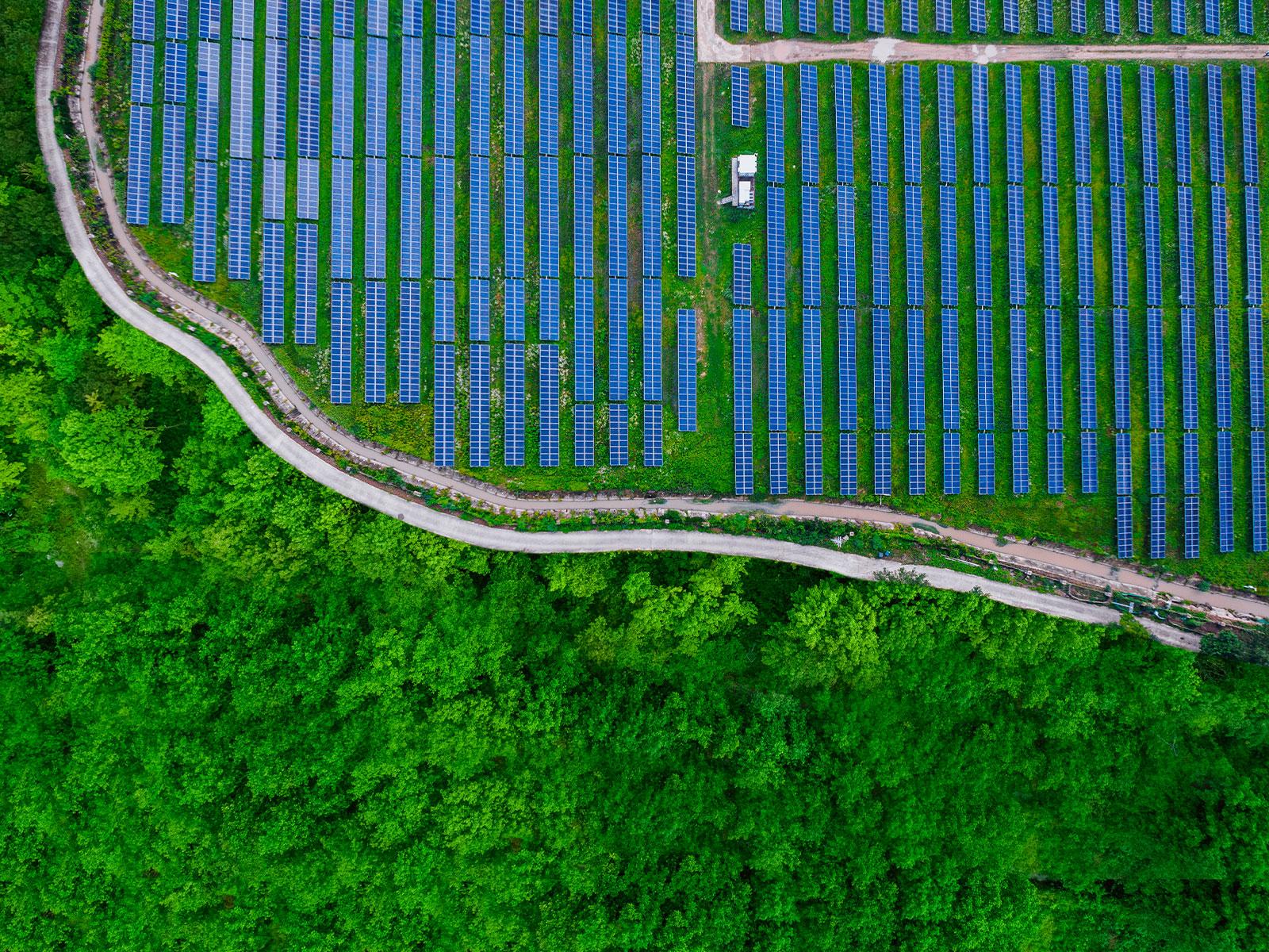 Mintz’s Second Annual Energy Transition Summit
