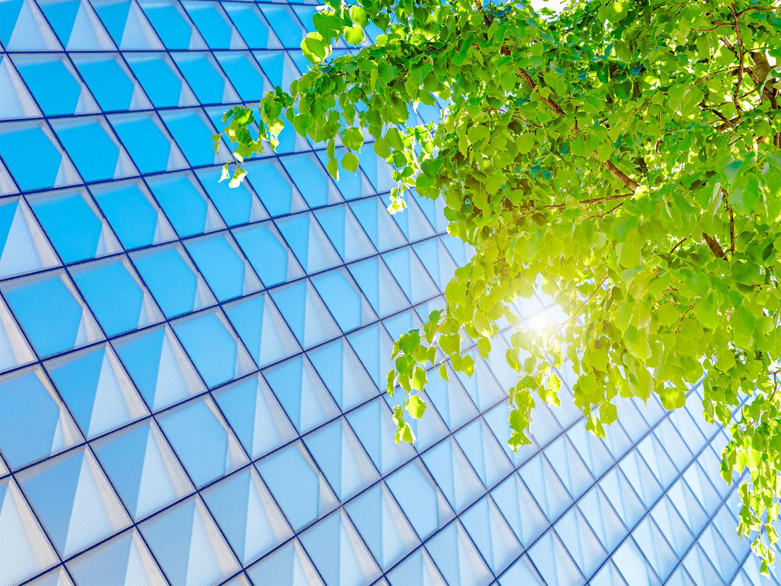 SEI article on homepage_Hero