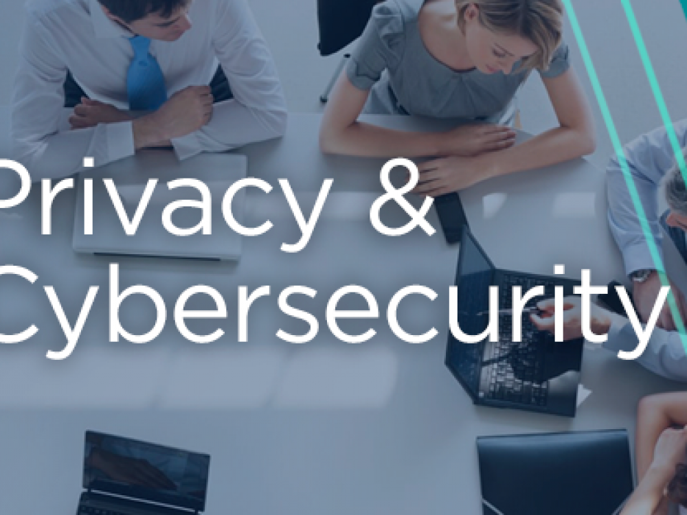 Privacy & Thumbnail Viewpoints Thumbnail