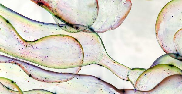 Life Sciences M&A Report June 2020