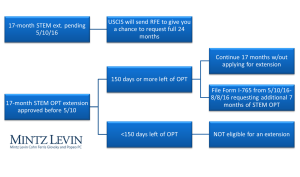 STEM OPT ext