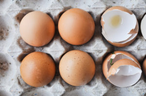 eggs