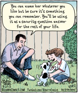 Friday Privacy Funny